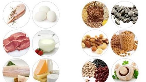 Foods high in animal and vegetable proteins for male potency
