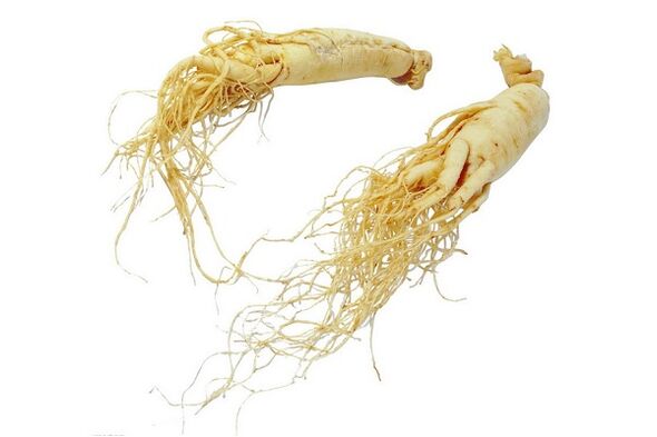 Ginseng root - a popular medicine for increasing male potency